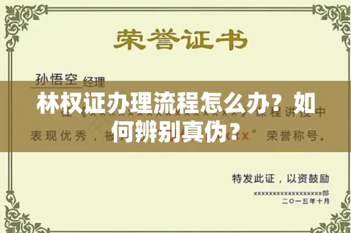 长春林权证办理流程怎么办?如何辨别真伪?
