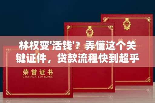 长春林权变'活钱'？弄懂这个关键证件，贷款流程快到超乎想象！